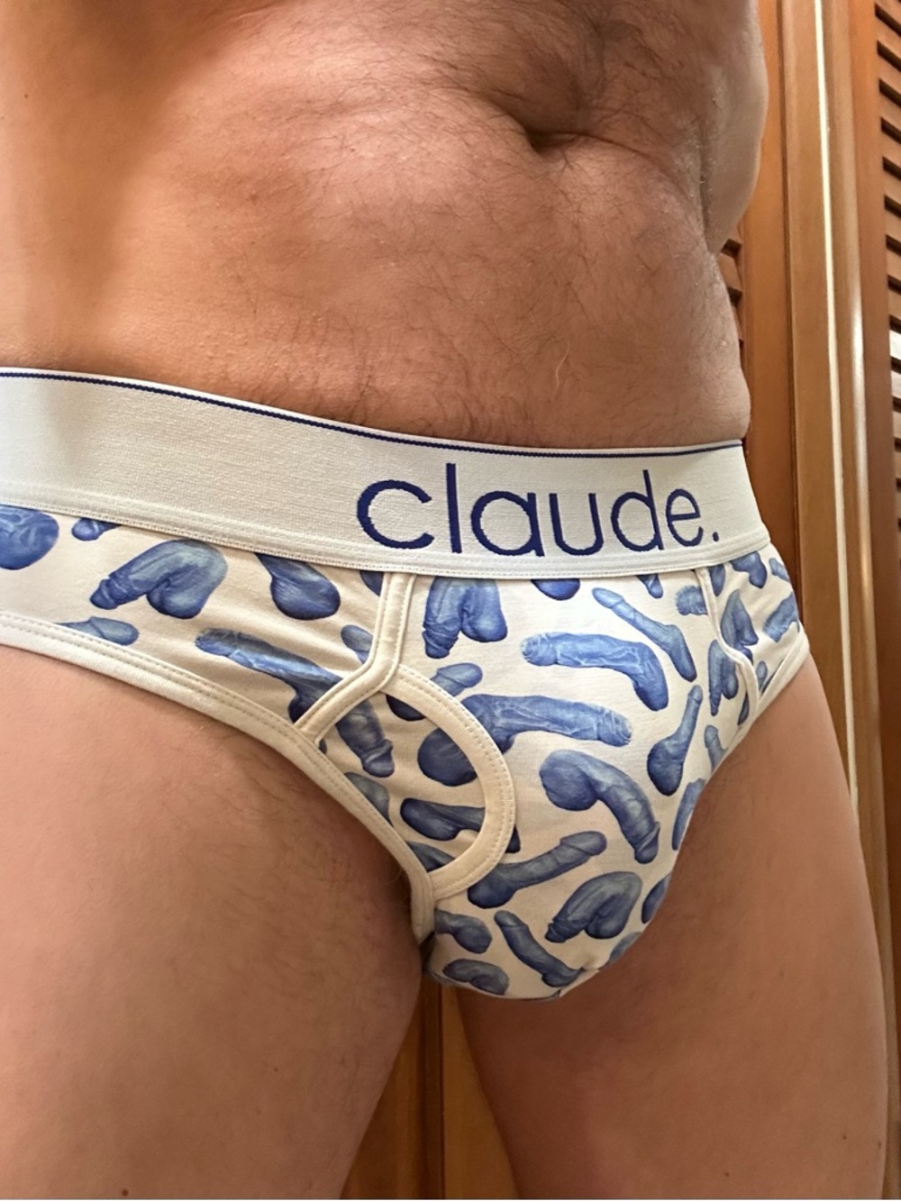 Claude Blue Penis Pattern Men's Briefs - White/Blue